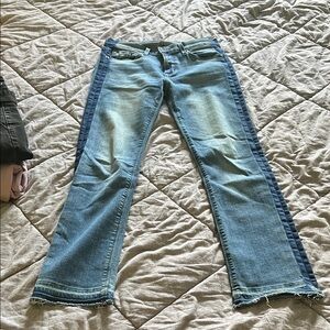 Hudson Jeans Light and Dark Blue Flare Jeans